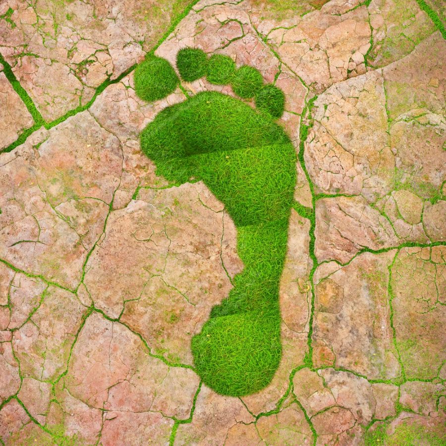 Groene voetafdruk op droge grond als ecologische footprint