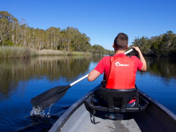 Jongen is aan het kanoën in de Noosa Everglades, zicht van achteren
