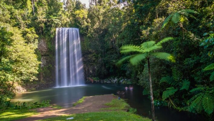 Millaa Millaa waterval in de Atherton Tablelands met palmboom op de voorgrond
