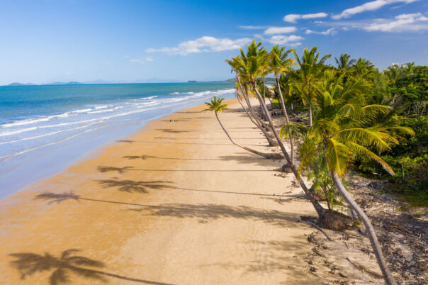 Droneview op het strand van Mission Beach in Queensland met palmbomen