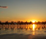 Kamelen lopen achter elkaar op het strand bij zonsondergang in Broome