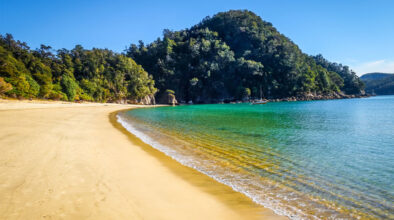 Strand in het Abel Tasman National Park op het Zuidereiland van Nieuw-Zeeland