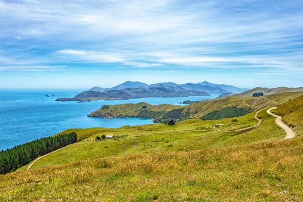 Uitzicht op Wakawa Bay in Marlborough Sound