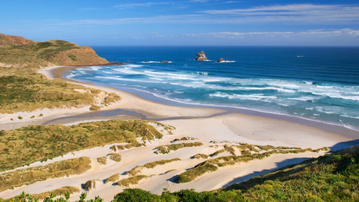 Het strand Sandfly Bay in Otago Nieuw-Zeeland