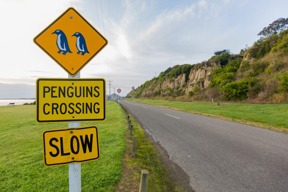 Een verkeersbord voor Penguins Crossing langs de weg in Otago