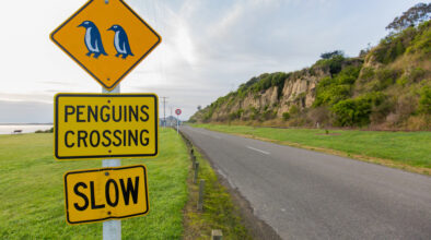 Een verkeersbord voor Penguins Crossing langs de weg in Otago
