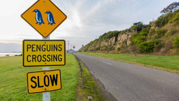 Een verkeersbord voor Penguins Crossing langs de weg in Otago