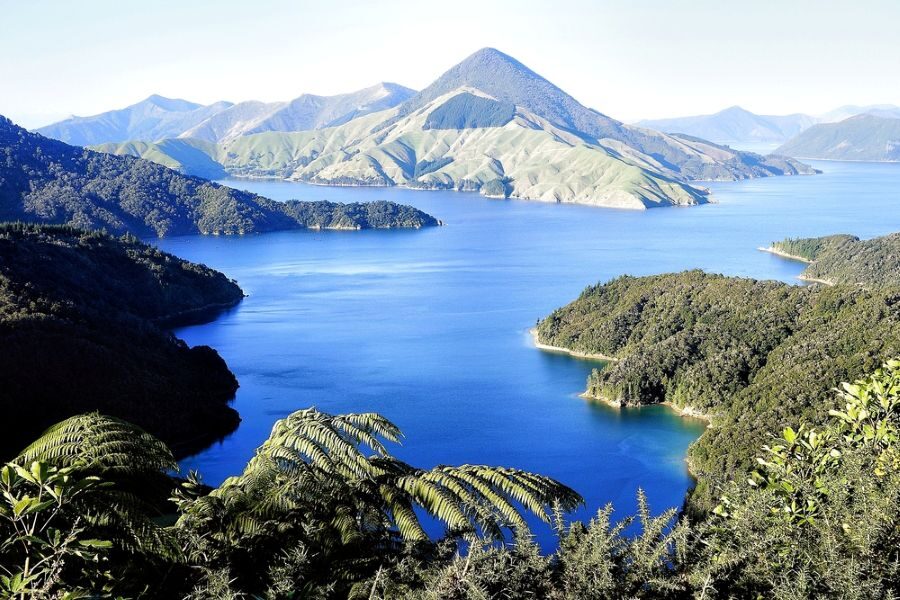 Zicht op de fjorden in de French Pass in de Marlborough Sounds