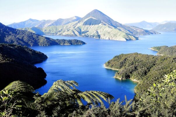 Zicht op de fjorden in de French Pass in de Marlborough Sounds