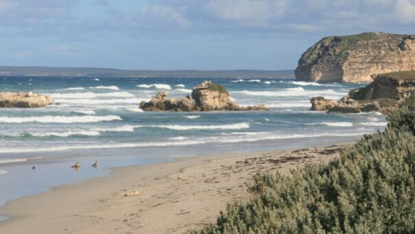 SeaL Bay op Kangaroo Island