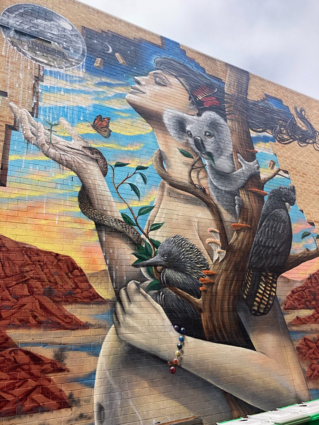 Muurschildering van een vrouw met een koala, echidna, kaketoe in Perth