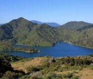 Zicht op een baai in de Marlbourough Sounds