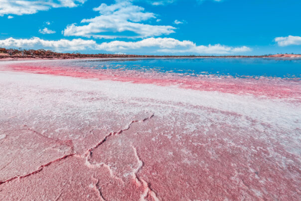 Murray Sunset National Park pink lake