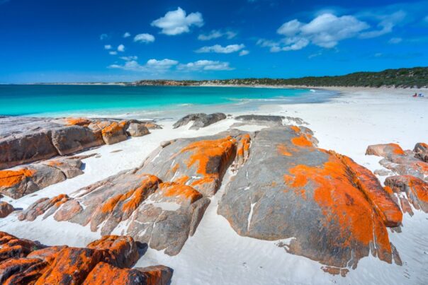 Yorke Peninsula South Australia Dolphin Bay